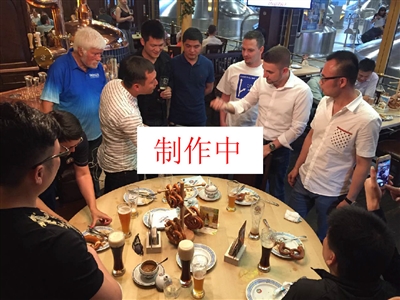 层他们